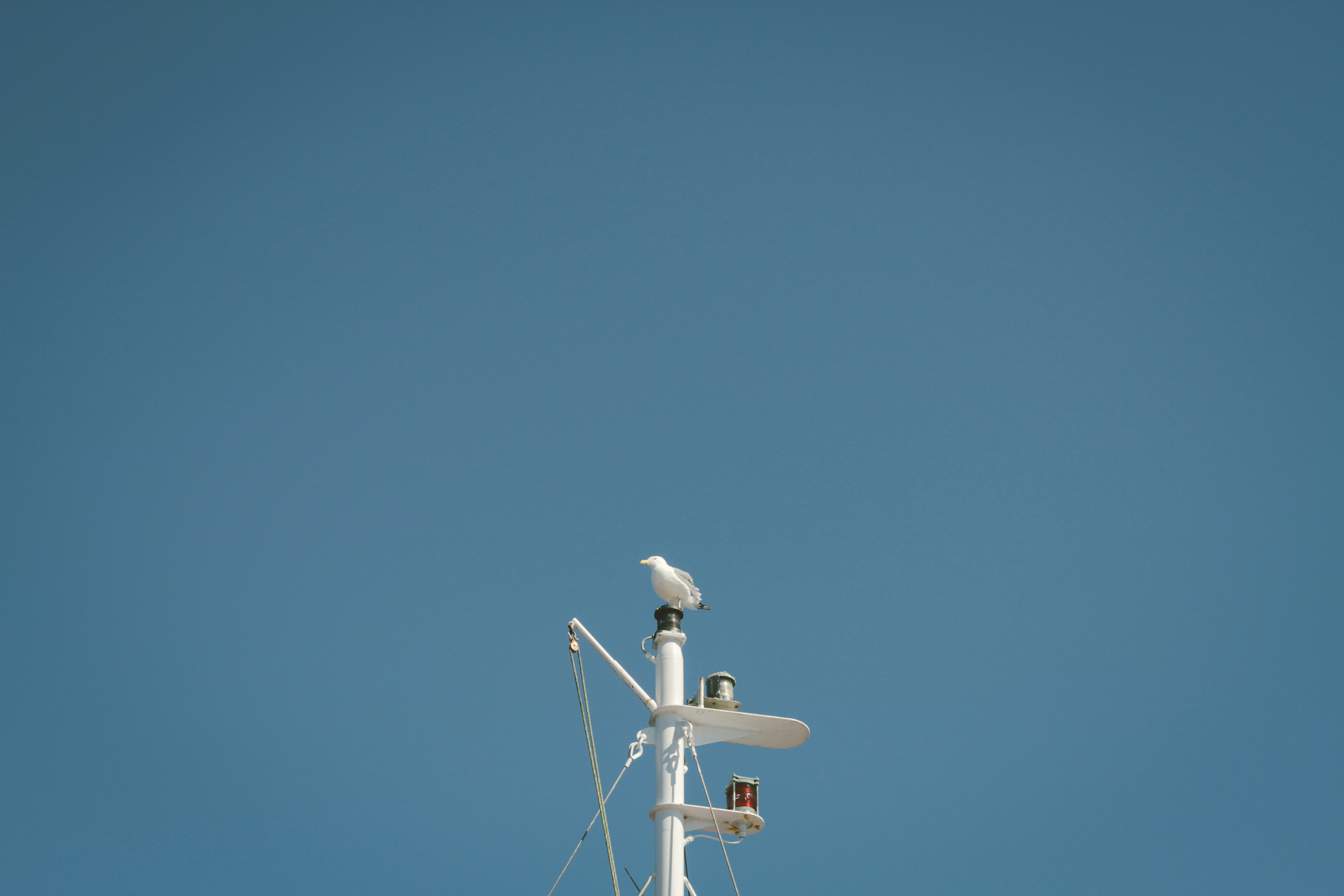 Telemetry equipment, photo by Dustin Scarpitti, Unsplash